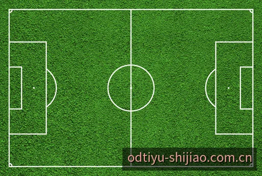 OD体育网页端与移动端H5自适应多端协同全景展示